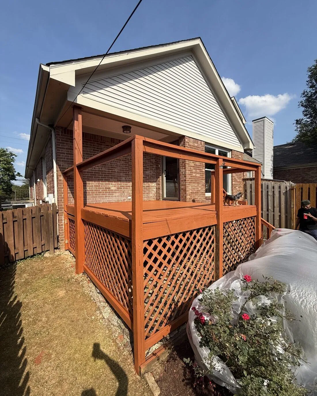 Deck after sanding and fresh stain